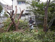 庭木伐採・草刈りを承ります。/ 千葉県柏市
